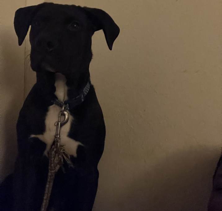 Photo of Hitman