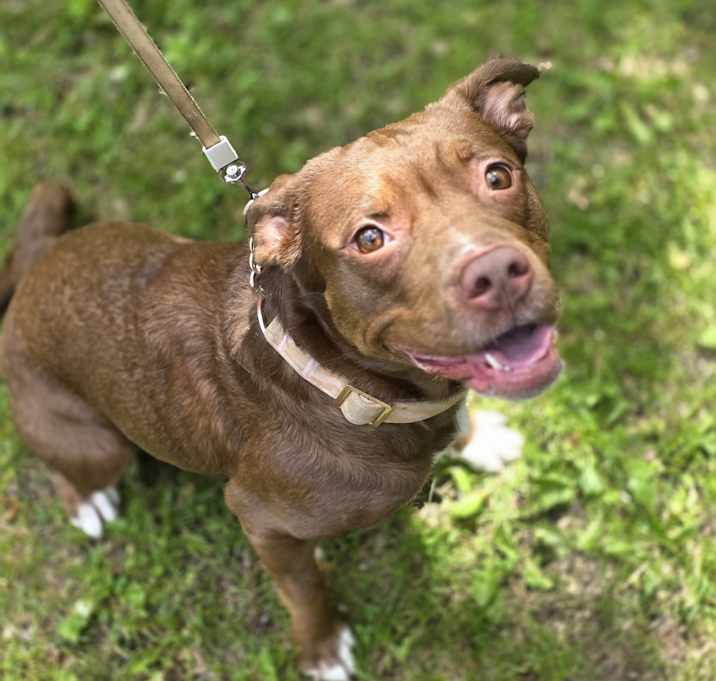 Photo of Athena