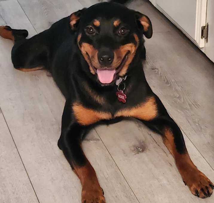 Photo of Roxie