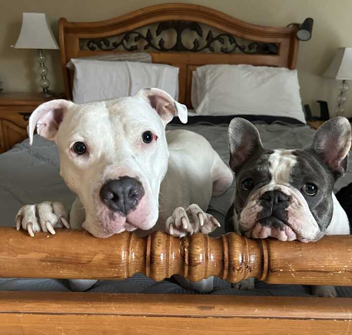 Photo of Jax