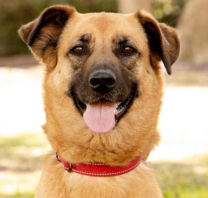 Photo of Lexi
