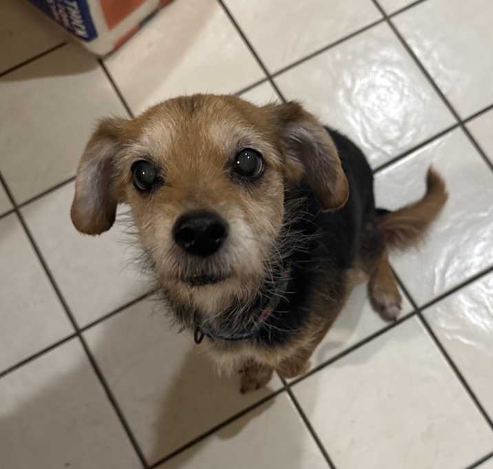 Photo of Bella