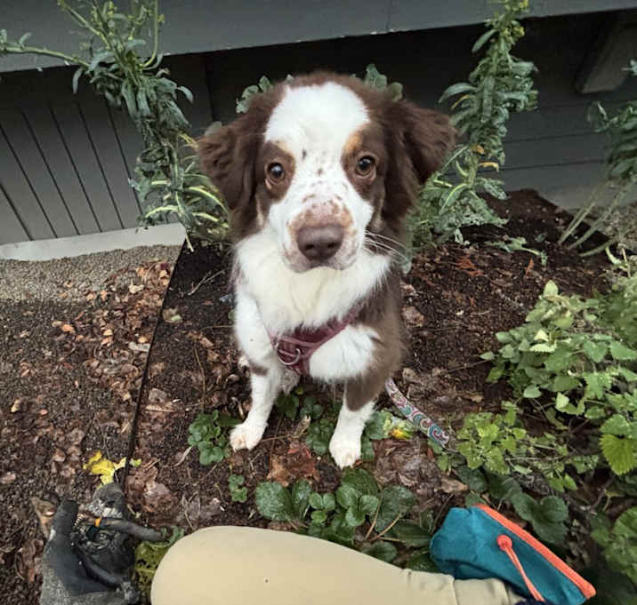 Photo of Jazz
