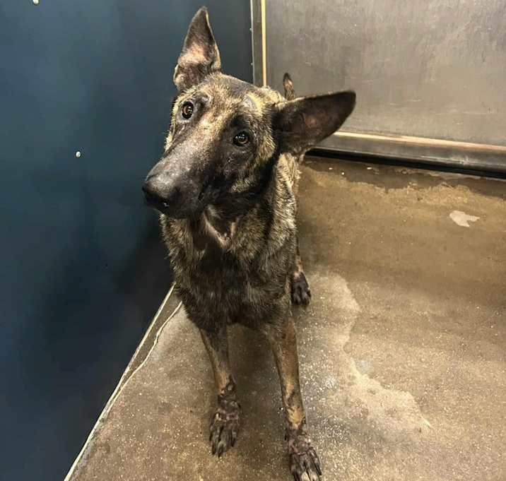 Photo of Ada - Located in Nebraska