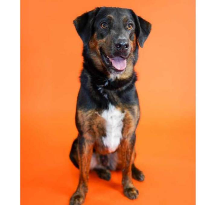 Photo of Major (Kenny)