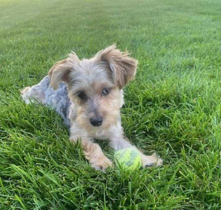 Photo of Atlas