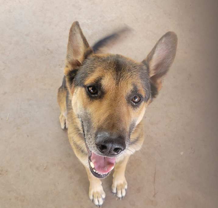 Photo of Zues
