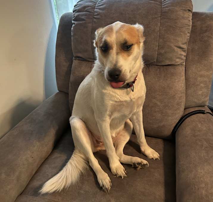 Photo of Lily