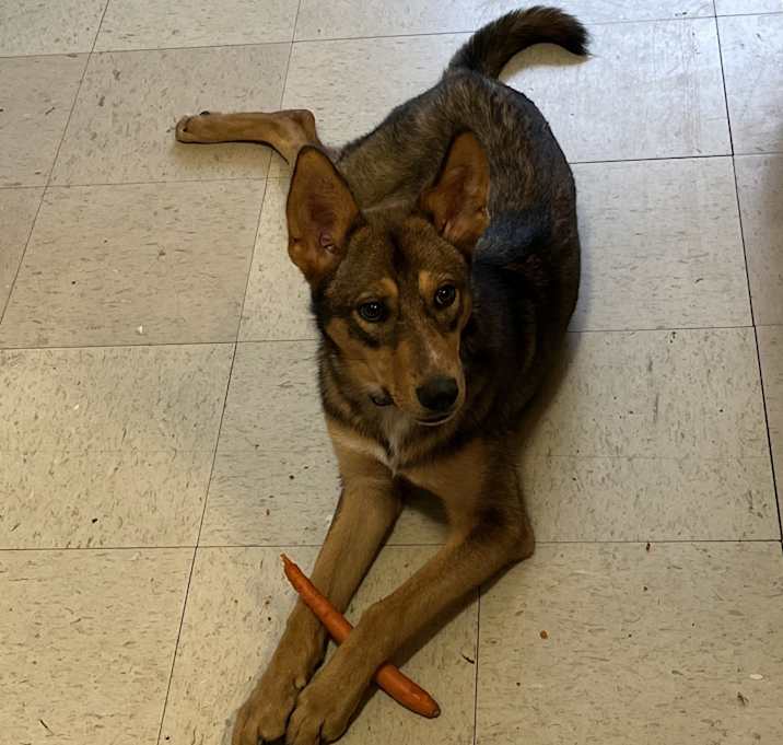 Photo of Kona