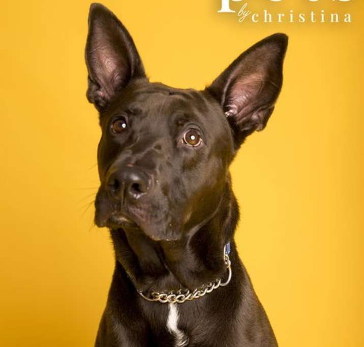 Photo of Knox