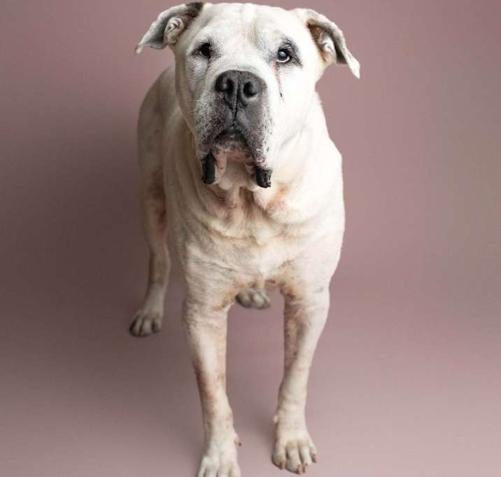 Photo of Titus
