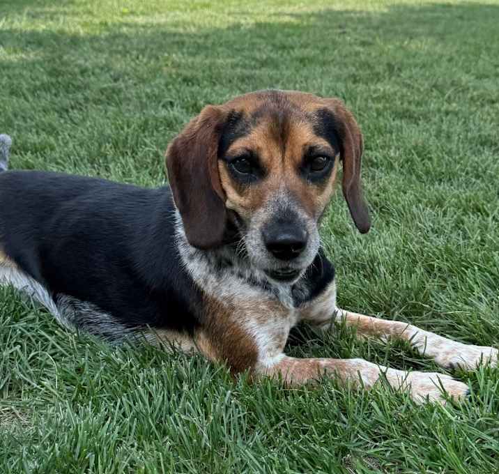 Photo of Squeaky