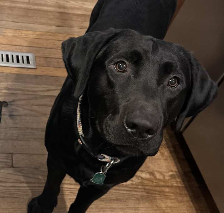 Photo of Taco