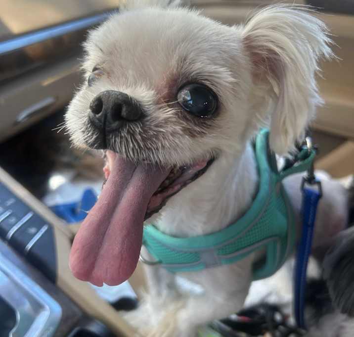 Photo of Nathan