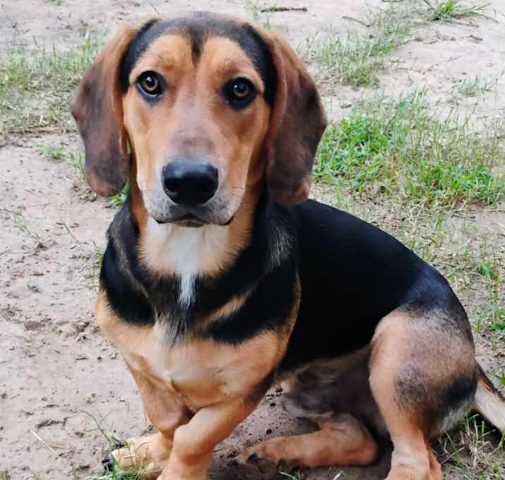 Photo of ROSCOE