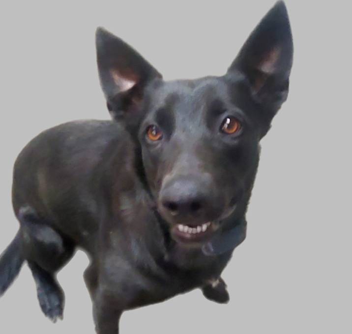 Photo of Echo