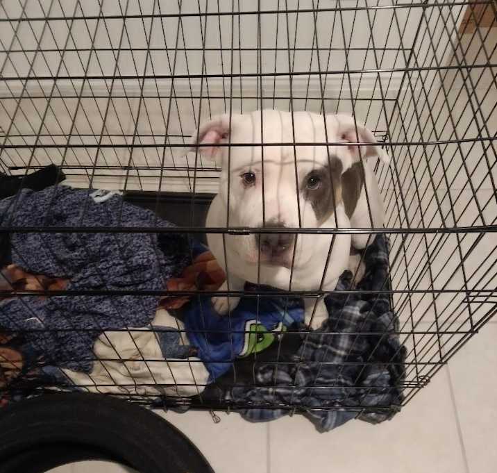 Photo of deuce