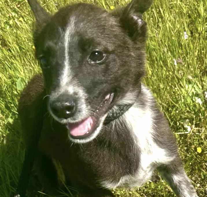 Photo of Lolita