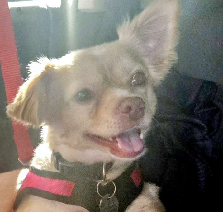 Photo of Milo