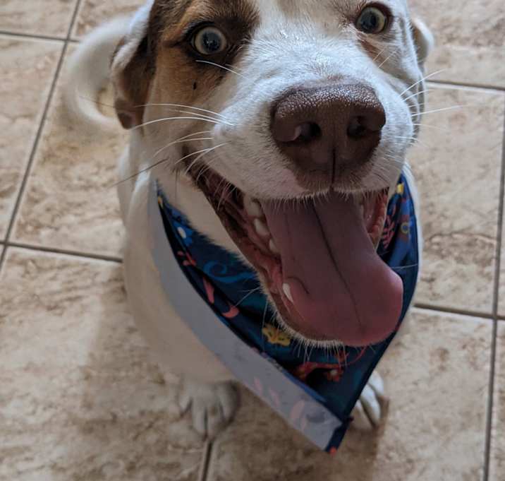 Photo of Blue