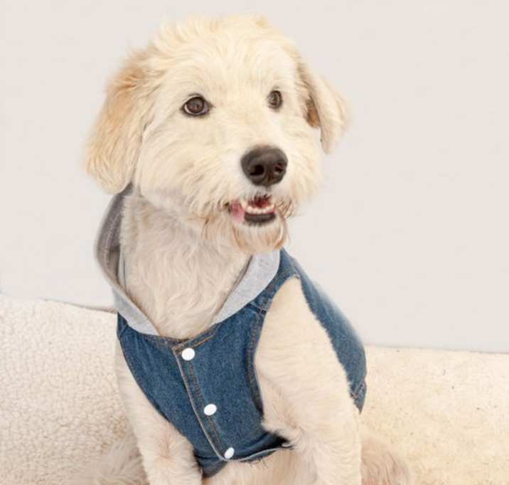Photo of Phoebe