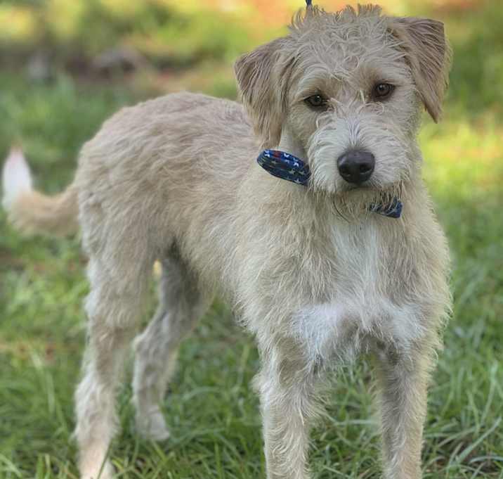 Photo of OSCAR