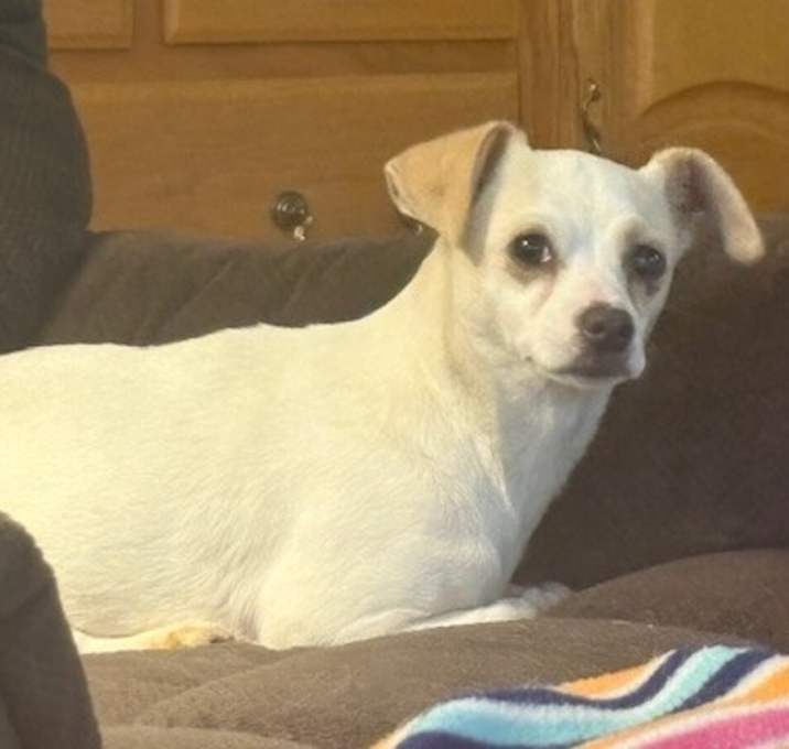 Photo of Molly
