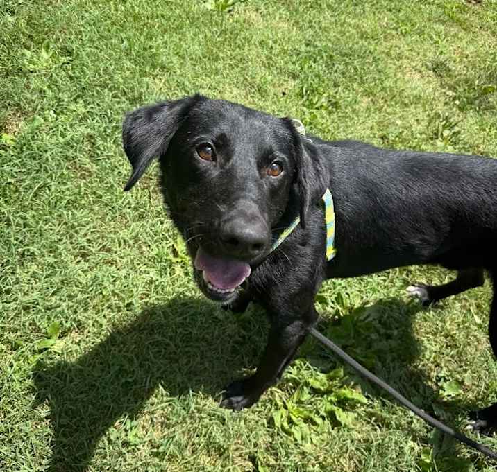 Photo of Melvin