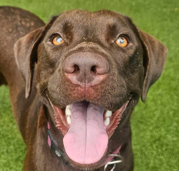 Photo of Baby Girl