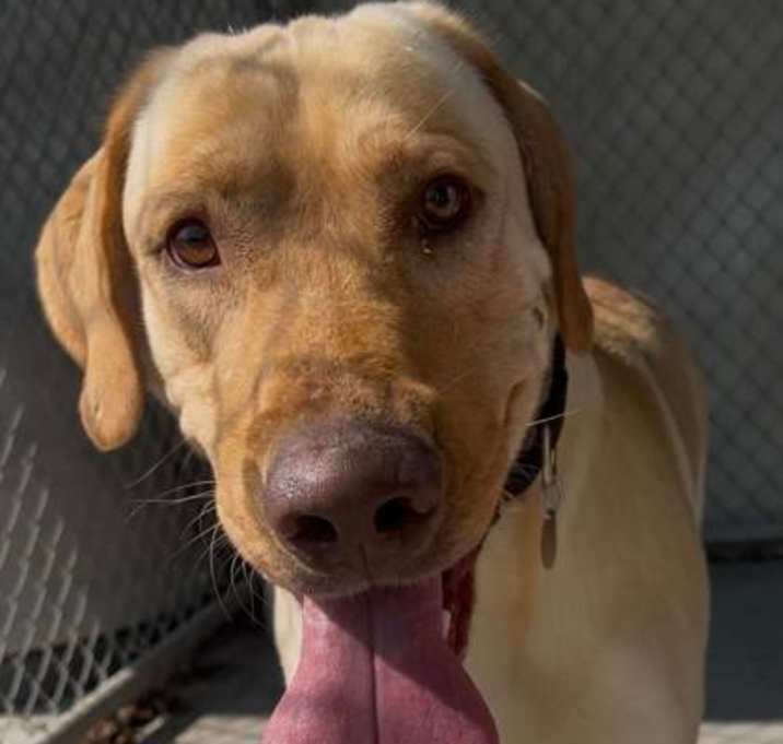 Photo of Duke