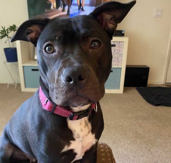 Photo of Hazel