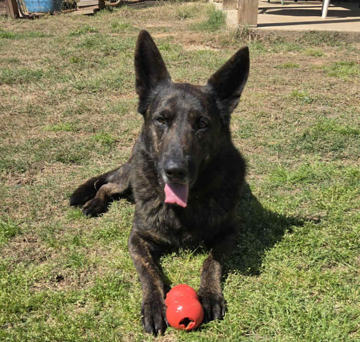 Photo of Zeus
