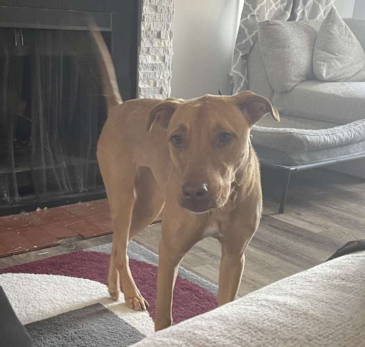 Photo of Nora