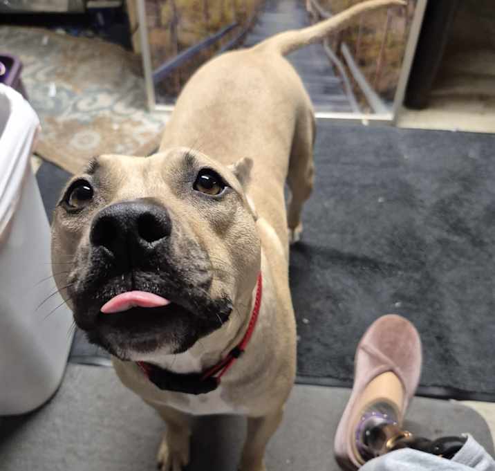 Photo of Junior