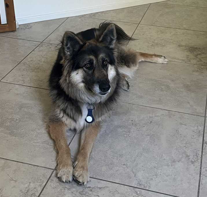 Photo of Hades