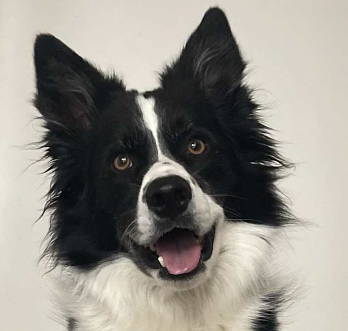 Photo of Lucy