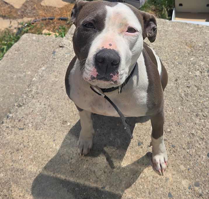 Photo of Diamond