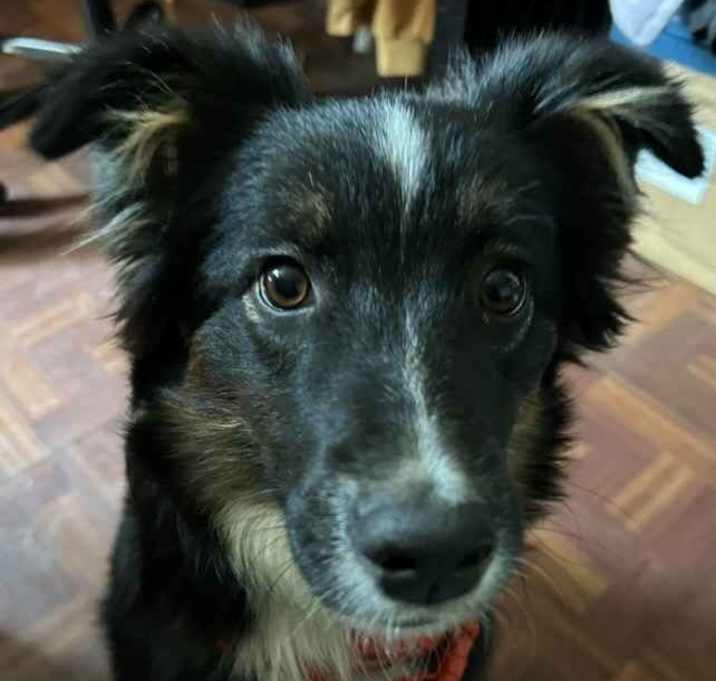 Photo of Vivi