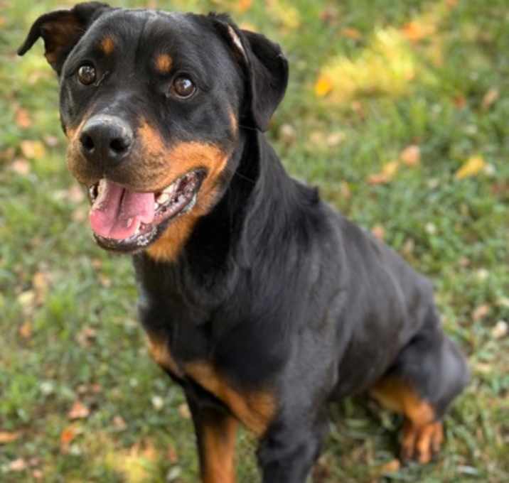 Photo of Raisin