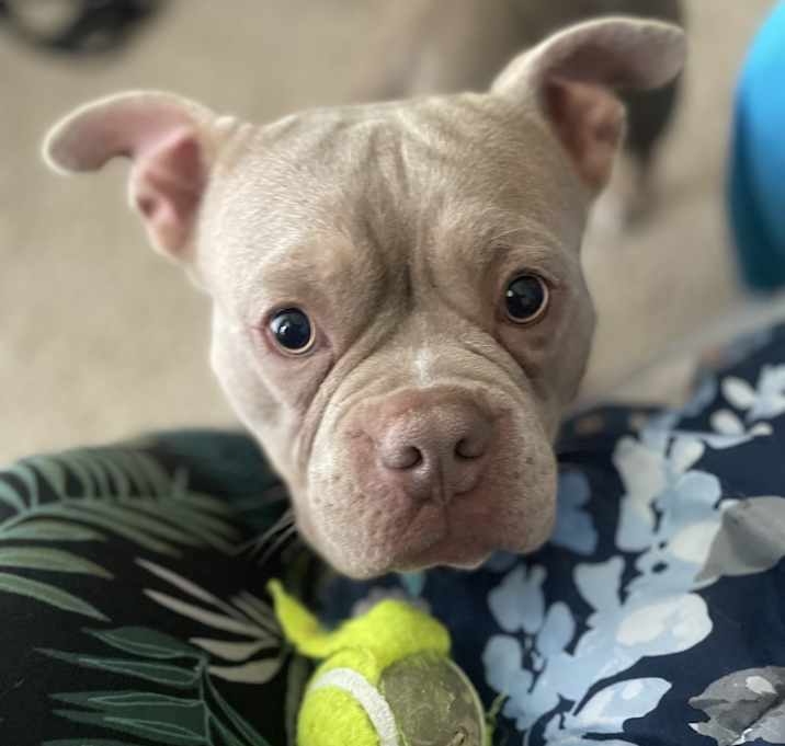 Photo of Kaine