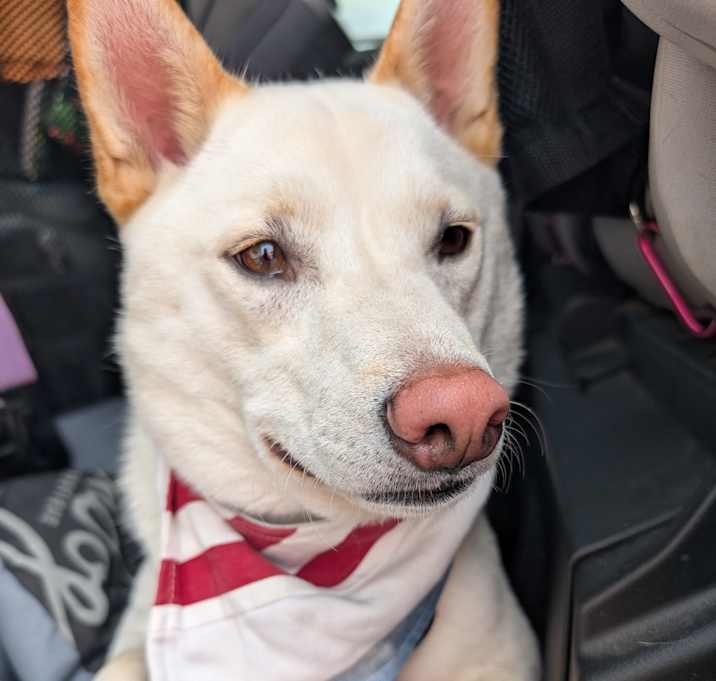 Photo of Dakota