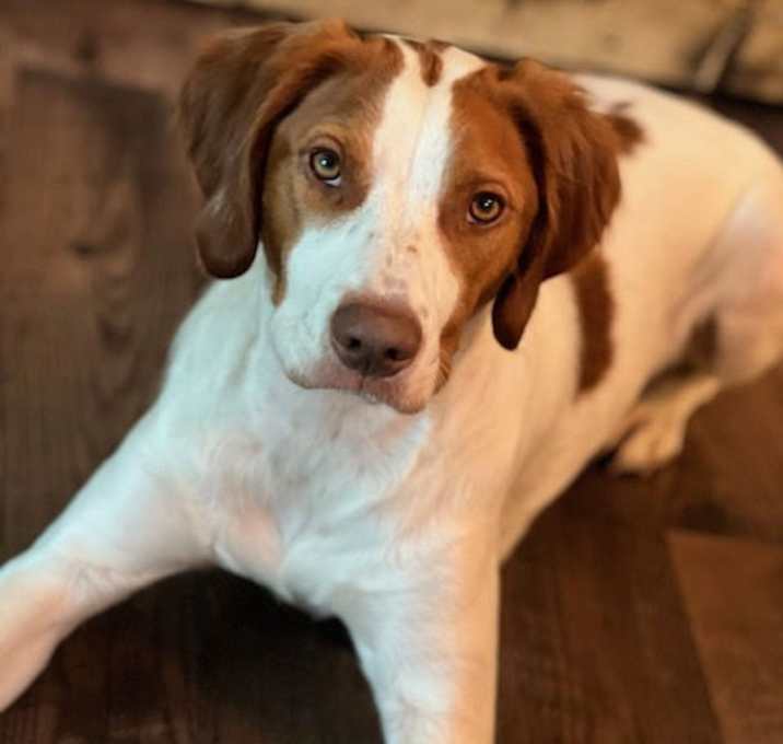 Photo of MN/Bentley