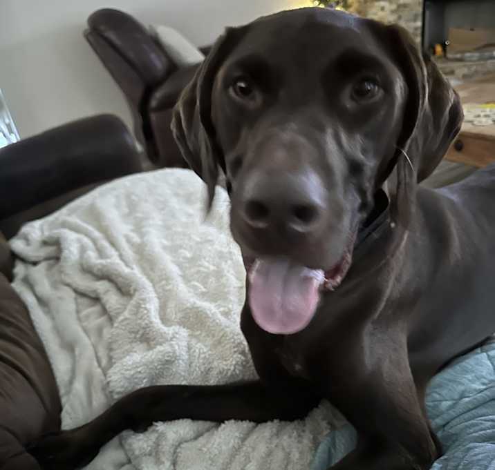 Photo of Louie
