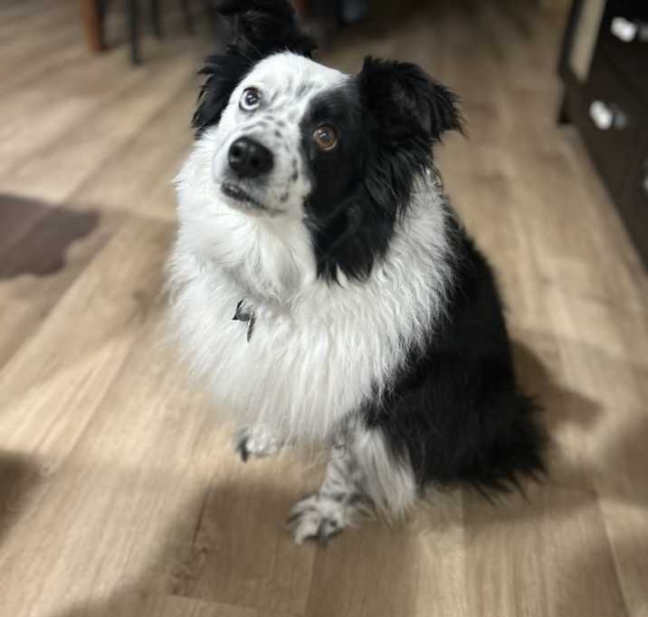 Photo of Crosby