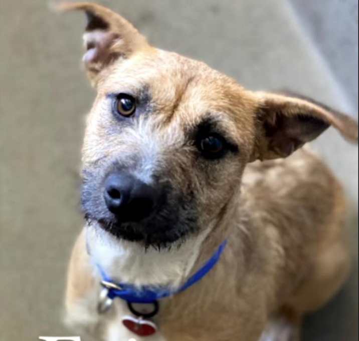Photo of Evie A5423014