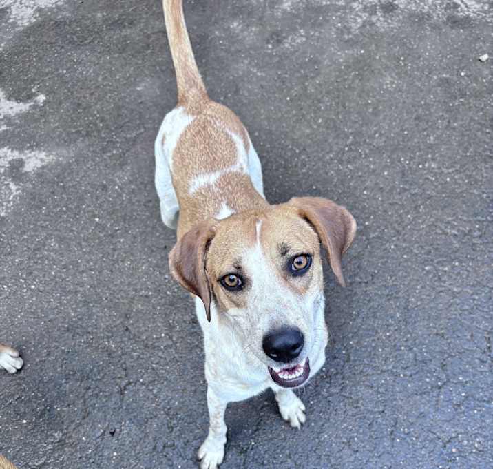 Photo of Ruby 1 in CT