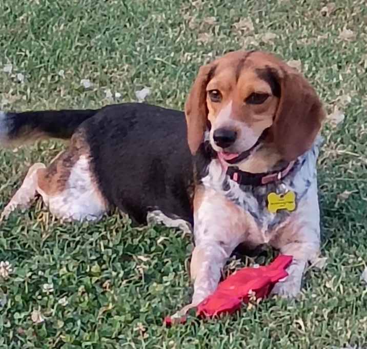 Photo of Sweetie