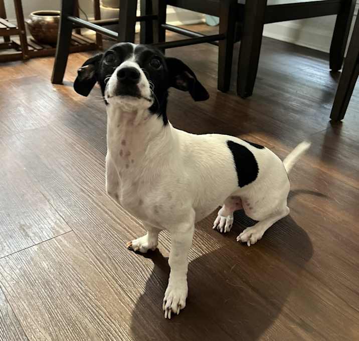 Photo of Timothy