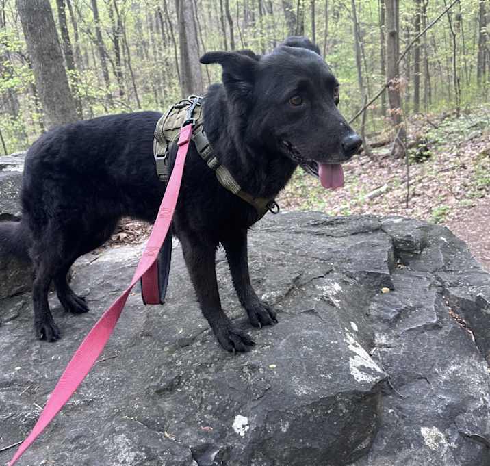 Photo of Molly