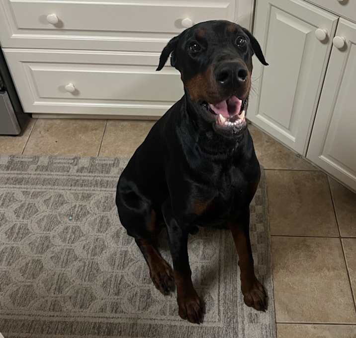 Photo of Oscar
